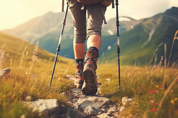 Trekking Poles: A valuable piece of equipment to bring on the trail.